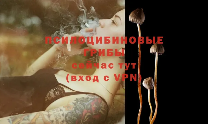 Псилоцибиновые грибы Magic Shrooms  omg ссылки  Шарыпово 